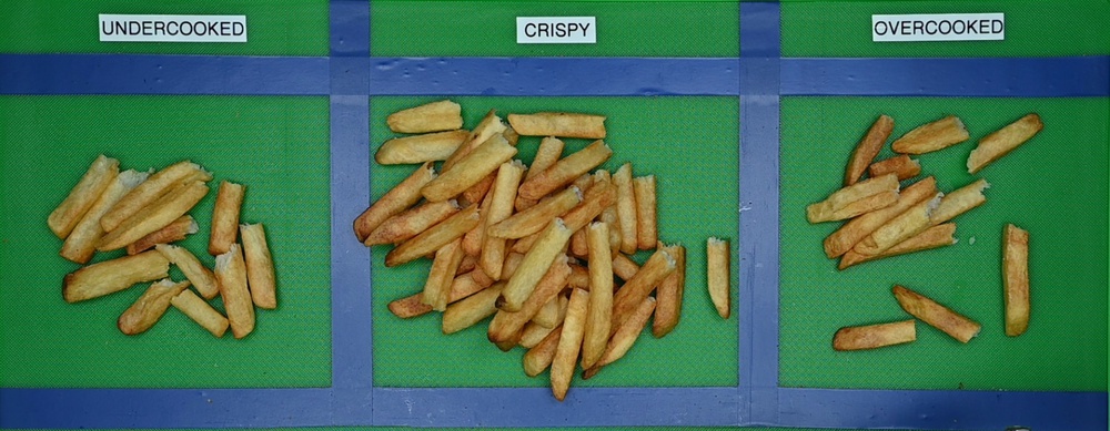 A batch of sorted fries from our frying quality test on the COSORI TurboBlaze