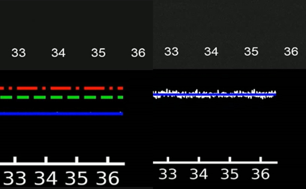 Comparison of the noise between the Fujifilm X-H2 and X-H2S (Left: X-H2. Right: X-H2S)