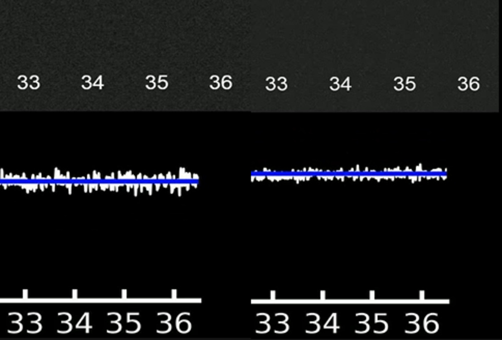 Comparison of the noise between the Panasonic LUMIX S5 and S5 II (Left: S5. Right: S5 II)